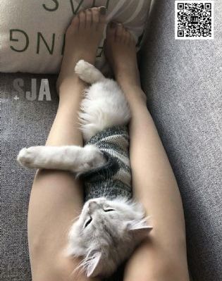 91最新网址在线_BD国语动漫免费观看
