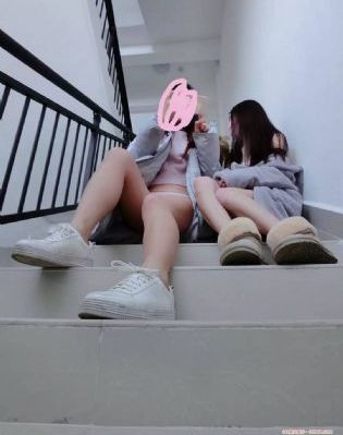 人犬兽人观看免费完整版_BD手机免费观看完整